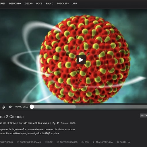 Interview in Antena 2 Ciência - LEGO and the Study of Living Cells