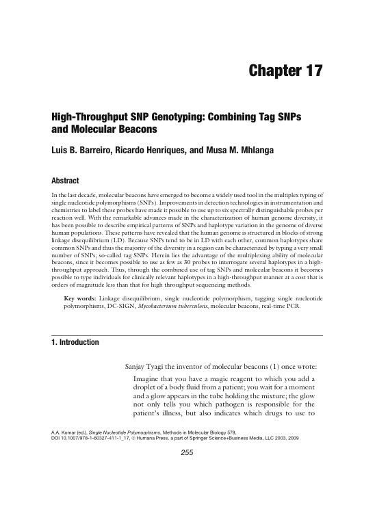 High-throughput SNP genotyping - combining tag SNPs and molecular beacons