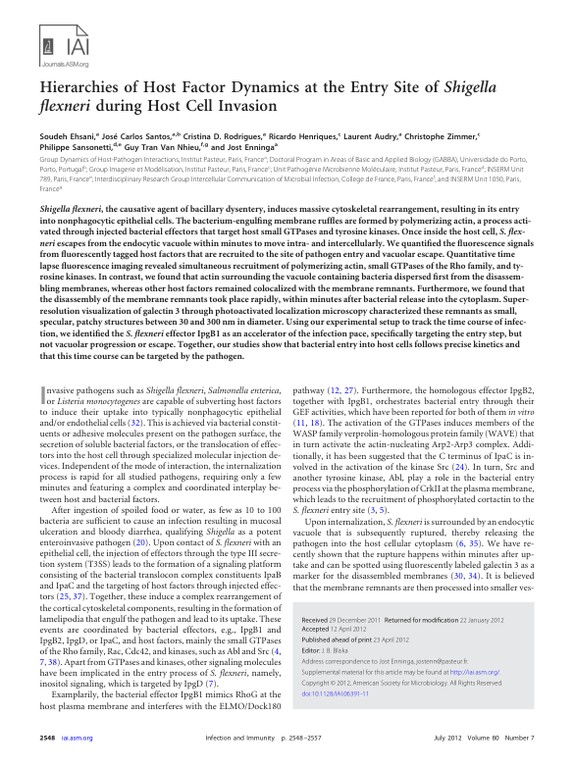 Hierarchies of host factor dynamics at the entry site of Shigella flexneri during host cell invasion