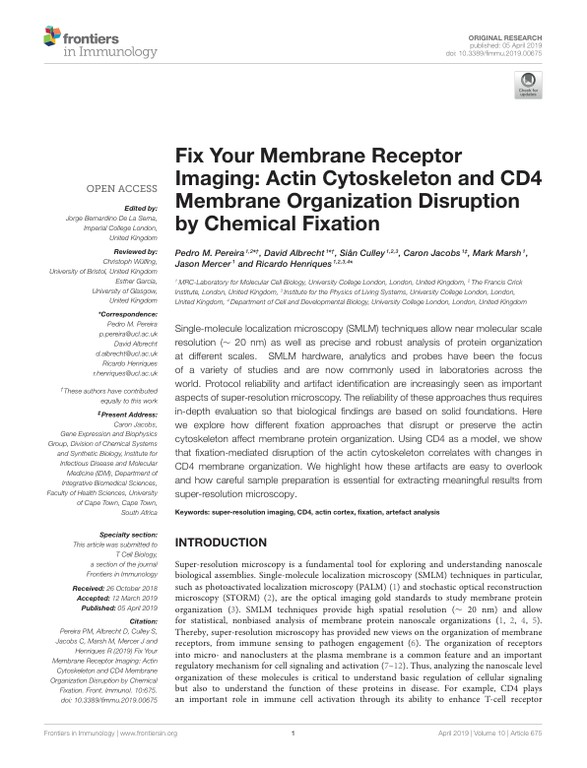 Fix your membrane receptor imaging - actin cytoskeleton and CD4 membrane organization disruption by chemical fixation