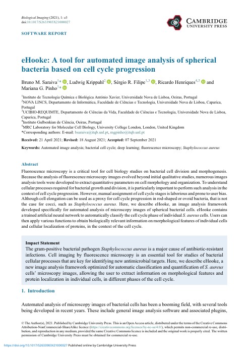 eHooke - A tool for automated image analysis of spherical bacteria based on cell cycle progression