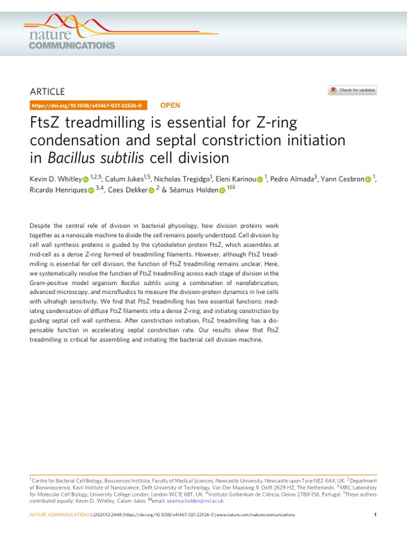FtsZ treadmilling is essential for Z-ring condensation and septal constriction initiation in Bacillus subtilis cell division