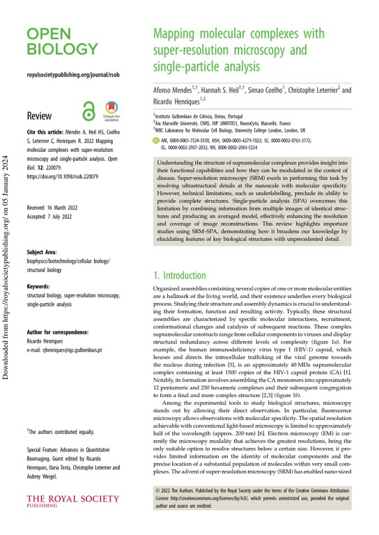 Mapping molecular complexes with super-resolution microscopy and single-particle analysis