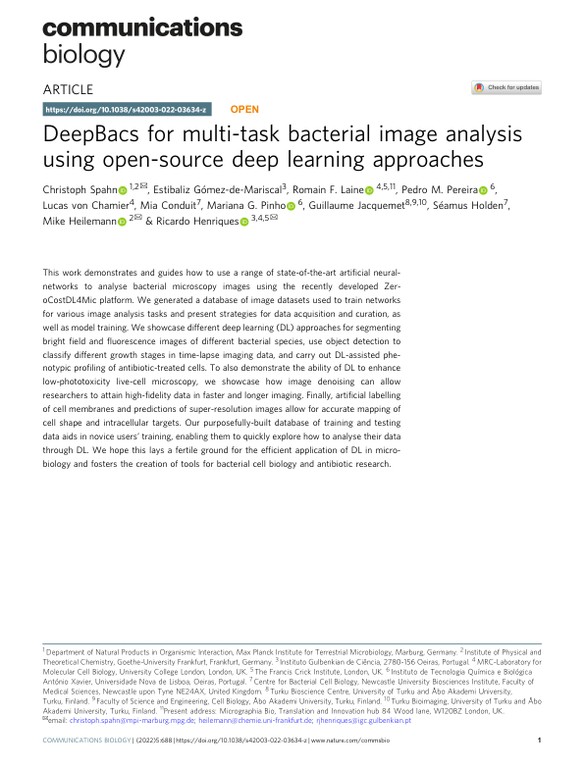 DeepBacs for multi-task bacterial image analysis using open-source deep learning approaches