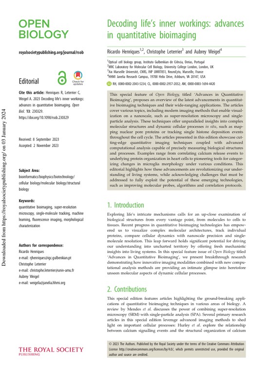 Decoding life's inner workings - advances in quantitative bioimaging
