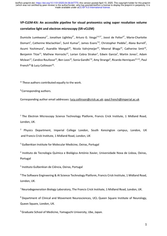 VP-CLEM-Kit - An accessible pipeline for visual proteomics using super resolution volume correlative light and electron microscopy (SR-vCLEM)