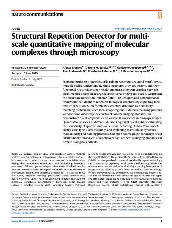 Structural Repetition Detector for multi-scale quantitative mapping of molecular complexes through microscopy