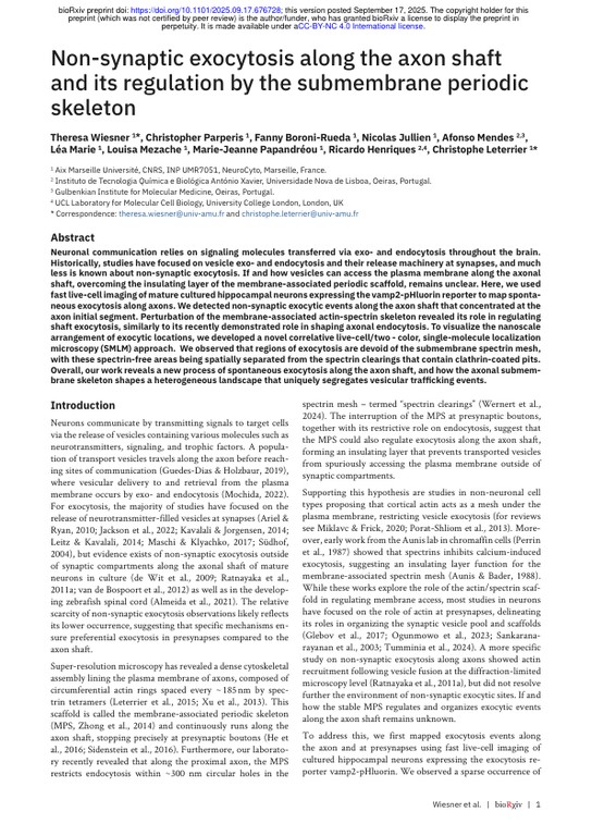 Non-synaptic exocytosis along the axon shaft and its regulation by the submembrane periodic skeleton