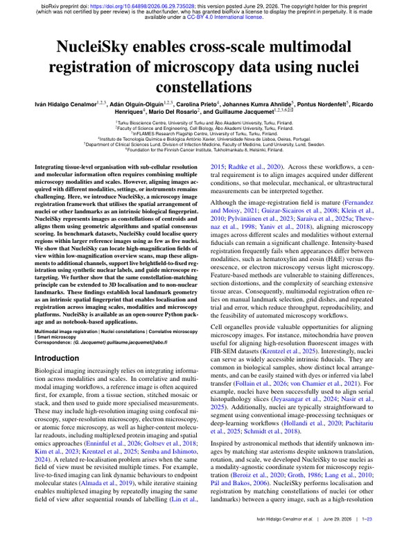 NucleiSky enables cross-scale multimodal registration of microscopy data using nuclei constellations