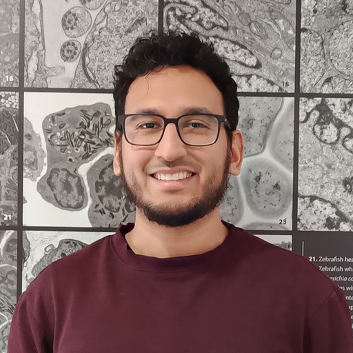 José Damián Martínez Reyes